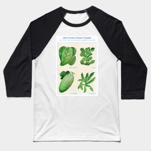 Garden Vegetable watercolor illustration (1915) Baseball T-Shirt